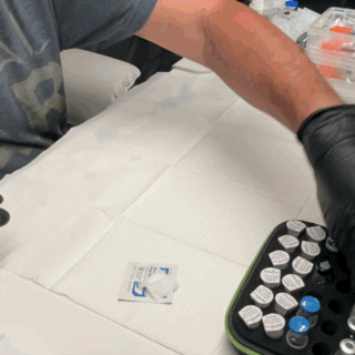 attachments-1408d501-1f25-4023-9ff8-54f4ccbd9cf3-gif.7956.gif