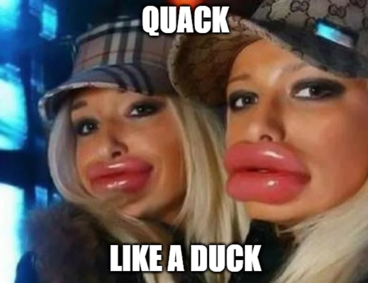 attachments-1729480269313-webp.2976.webp