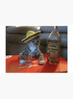 attachments-1768326948558-gif.13043.gif