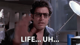 attachments-1766081708243-gif.11741.gif attachments-1766081708243-gif.11741.gif