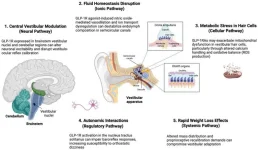 attachments-biomedicines-13-01049-g005-webp.7995.webp