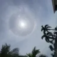 Sun_Seeker