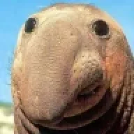 IAmTheWalrus
