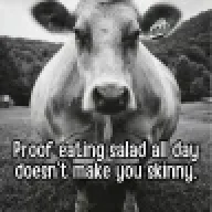 BigGuy