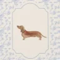 Kwoodardvb 2834