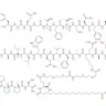 Lyophilized
