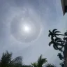 Sun_Seeker