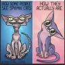 lovemycats2025