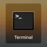 Terminalroids