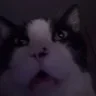 Wacky