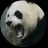 AndyPanda