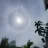 Sun_Seeker