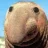 IAmTheWalrus