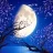 MoonWillow