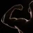 copepmuscle